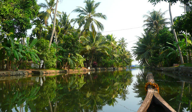 7 must-do & unmissable activities in Kerala - Blog