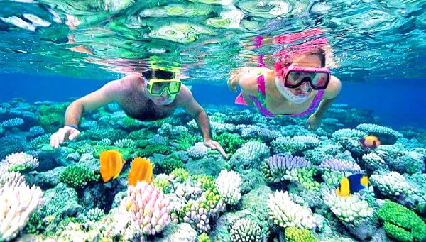 6 must do activities in The Maldives - Blog